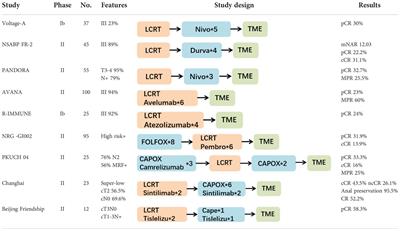 Neoadjuvant chemoradiotherapy combined with immunotherapy for locally advanced rectal cancer: A new era for anal preservation
